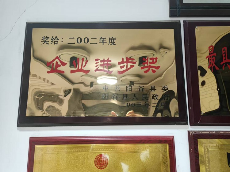 企业进步奖